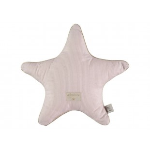 Perna roz in forma de stea, Aristote de la Nobodinoz